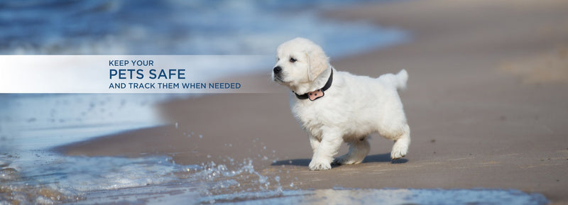 INTRODUCING OUR GPS PET TRACKERS