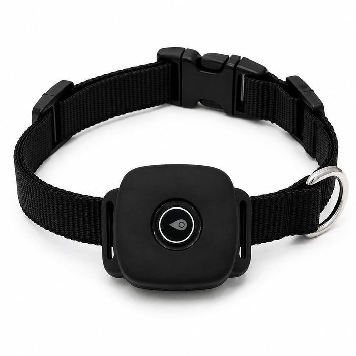 Lil Tracker 4G GPS pet tracker securely attached to an adjustable dog collar
