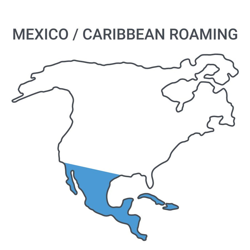 Data Roaming Packages